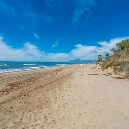 Cubo's Alicate Playa شقة