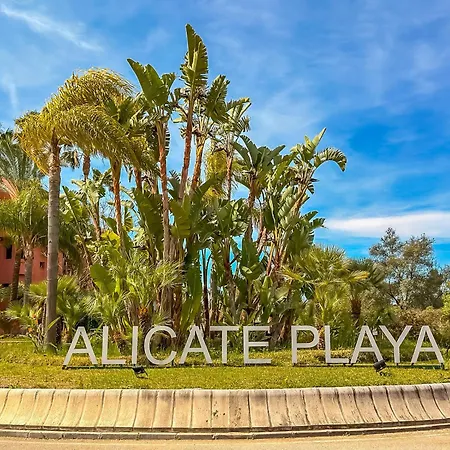 Cubo's Alicate Playa